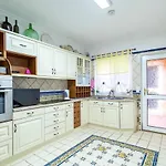 V4 Maximo فيلة
