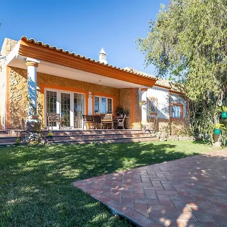 V4 Maximo * アルブフェイラ