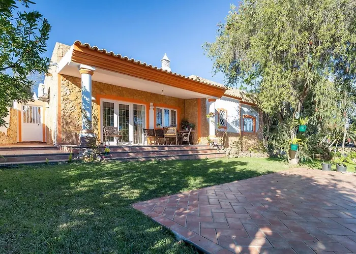 V4 Maximo * アルブフェイラ